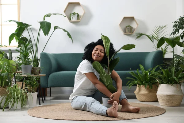 stock image Relaxing atmosphere. Happy woman hugging ficus around another potted houseplants in room