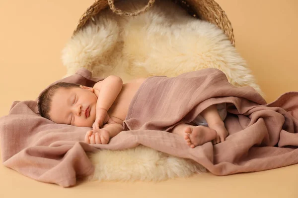 Urocze Noworodki Śpiące Sztucznym Futrze Pobliżu Przewróconego Wiklinowego Koszyka Beżowym — Zdjęcie stockowe