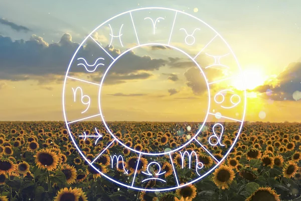 Tierkreisrad Und Schöne Aussicht Auf Blühendes Sonnenblumenfeld — Stockfoto