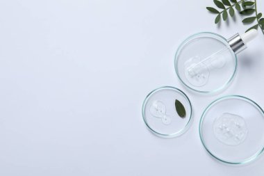 Beyaz arka planda kozmetik yağ, pipet ve yeşil yapraklar içeren petri kapları düz. Metin için boşluk