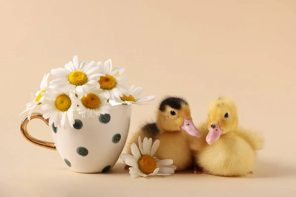 Baby animals. Cute fluffy ducklings near flowers on beige background