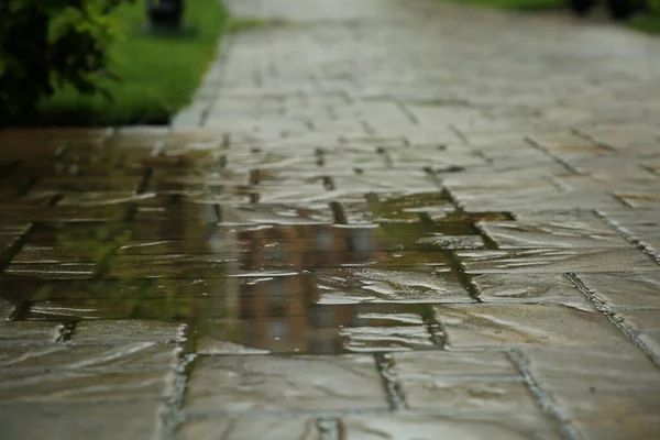 Puddle after rain on street tiles outdoors, selective focus