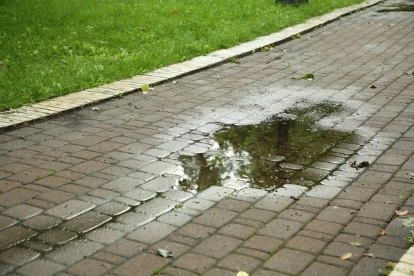 Puddle Rain Water Paved Pathway Outdoors — Stock Photo, Image