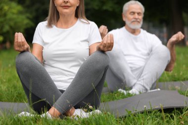 Yaşlı çift parkta yeşil çimlerde yoga yapıyor, seçici odaklanma.