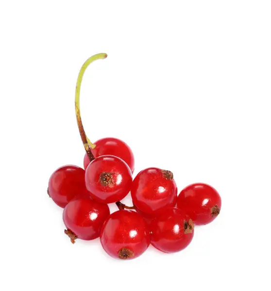 Bunch Fresh Ripe Red Currants Isolated White Top View — Stock Photo, Image