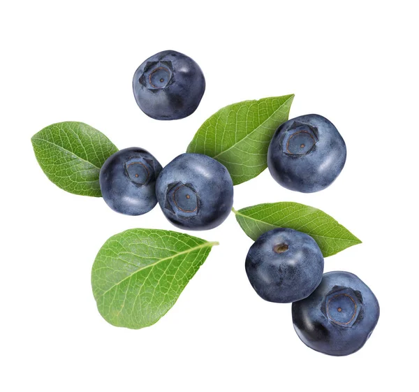 Many Ripe Blueberries Green Leaves Falling White Background Stock Picture