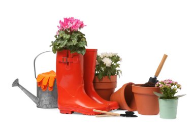 Güzel çiçekler, saksılar, lastik botlar ve beyaza izole edilmiş bahçe aletleri.