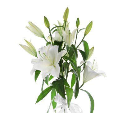 Güzel bir demet nilüfer çiçeği beyazda izole edilmiş