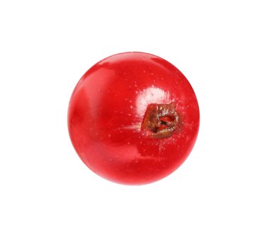 Bir olgun kırmızı frenk üzümü beyaza izole edilmiş.