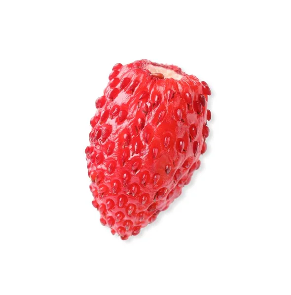 One Ripe Wild Strawberry Isolated White — Stock Photo, Image