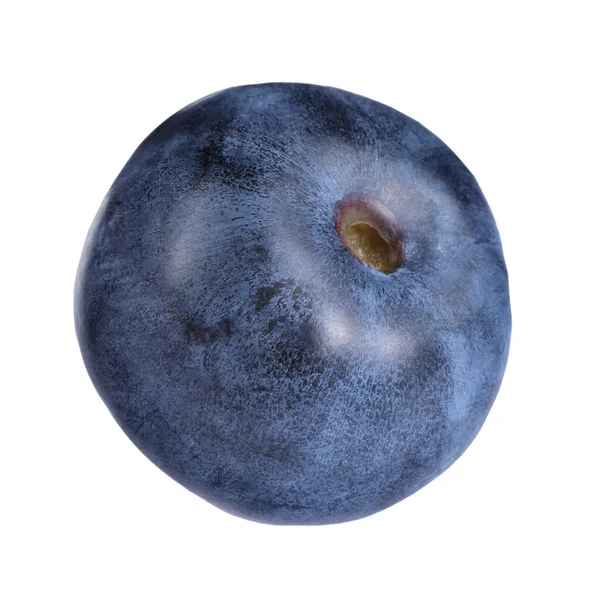One Fresh Ripe Blueberry Isolated White — Stock Photo, Image