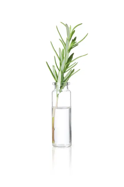 Bottle Essential Oil Rosemary Isolated White — Stock Photo, Image