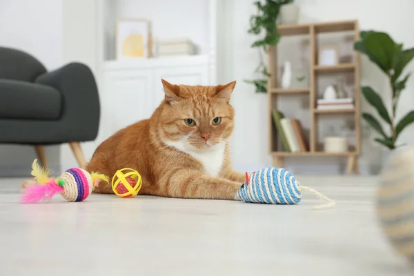 Cute ginger cat playing with toys at home