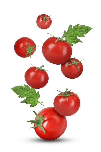 Wiele Świeżych Dojrzałych Pomidorów Zielonych Liści Spada Białe Tło — Zdjęcie stockowe