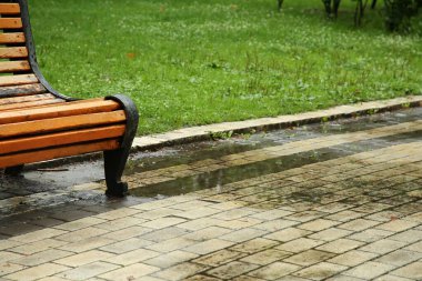 Parkın asfalt yolundaki ahşap bankın yanındaki su birikintisi.