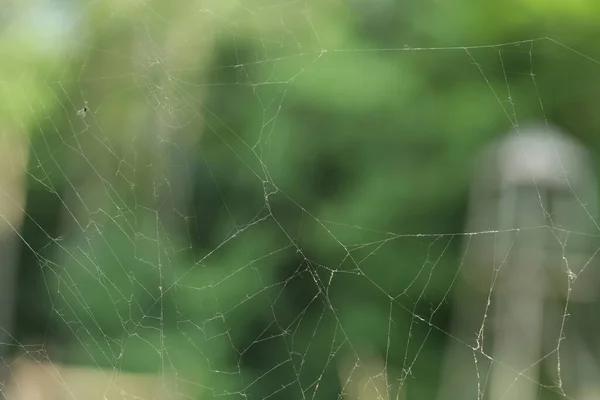 旧的尘土飞扬的蜘蛛网模糊的背景 — 图库照片