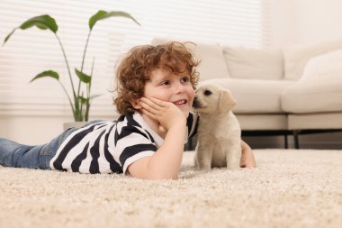 Bej halıda şirin köpek yavrusu olan küçük bir çocuk.