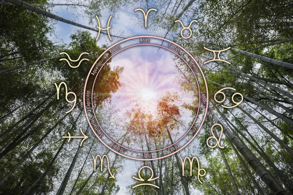 Zodiac Wiel Prachtig Uitzicht Bamboe Bos Onder Bewolkte Hemel — Stockfoto