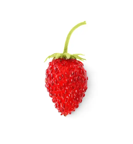 一个成熟的野草莓 在白色的顶部被隔离 — 图库照片
