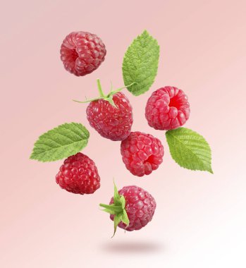 Pembe arka plana düşen taze ahududu ve yeşil yapraklar.