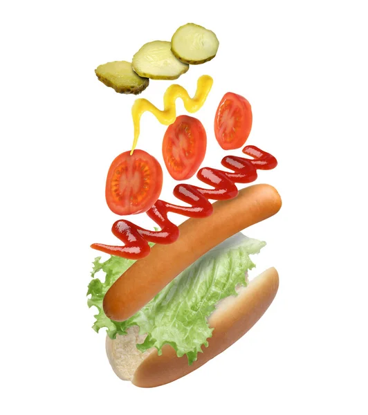 Hot Dog Ingredience Vzduchu Bílém Pozadí — Stock fotografie