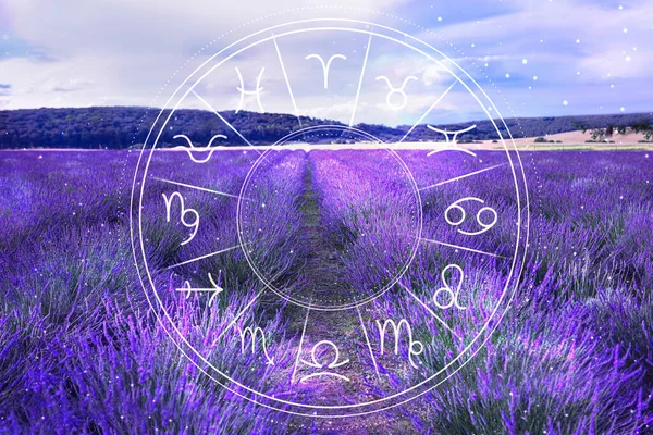 Zodiac wheel and beautiful blooming lavender meadow