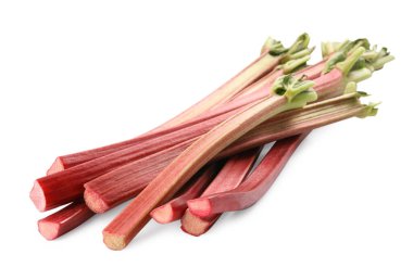 Beyazlar üzerinde izole edilmiş taze ravent sapları.