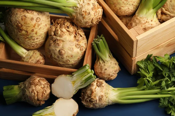 stock image Fresh raw celery roots on blue table, above view