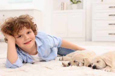 Evdeki beyaz halıda sevimli köpek yavrularıyla uzanan küçük çocuk.