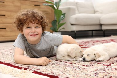 Evdeki halıda sevimli köpekleri olan küçük bir çocuk.