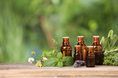 Bottles with essential oils and plants on wooden table against blurred green background. Space for text clipart