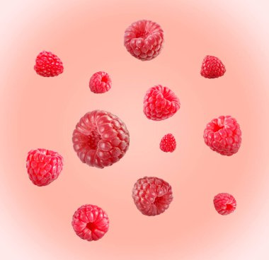 Birçok olgun ahududu pembe arka plana düşüyor.