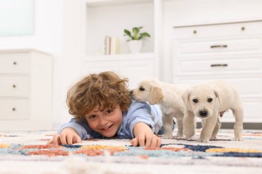 Evdeki halıda sevimli köpekleri olan küçük bir çocuk.
