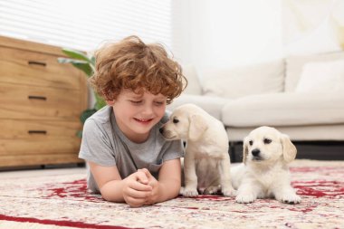Evdeki halıda sevimli köpekleri olan küçük bir çocuk.