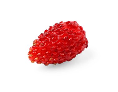 Bir olgun yabani çilek beyazda izole edilmiş.