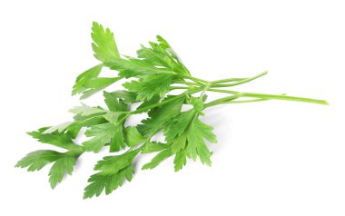 Beyaz maydanozlu taze maydanoz yaprakları.