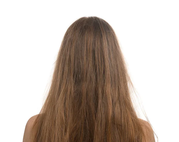 Woman with damaged hair on white background, back view