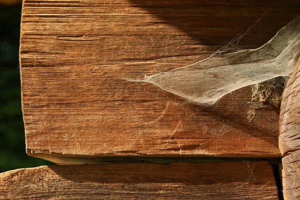 室外木制建筑上尘土飞扬的蜘蛛网 — 图库照片