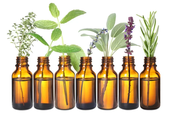 Set Different Essential Oils Herbs Isolated White — Stock Photo, Image