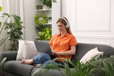 Kulaklıklı bir kadın evdeki güzel saksıların yanındaki kanepede dizüstü bilgisayar kullanıyor.