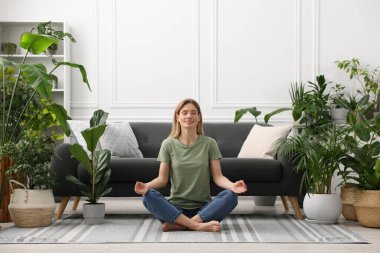 Evinde güzel saksılarla çevrili meditasyon yapan bir kadın.
