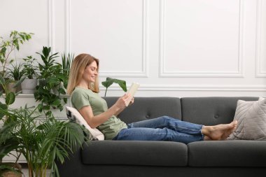 Evdeki güzel saksılarla çevrili kanepede kitap okuyan bir kadın.