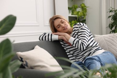 Evdeki güzel saksılarla çevrili kanepede dinlenen bir kadın.