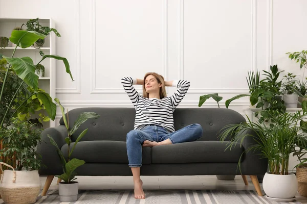 stock image Woman relaxing on sofa surrounded by beautiful potted houseplants at home