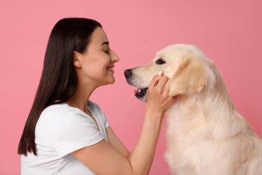 Mutlu kadın pembe arka planda şirin Labrador Retriever köpeğiyle oynuyor. Sevimli hayvan.