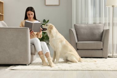 Evde sevimli Labrador Retriever köpeğiyle kitap okuyan bir kadın. Sevimli hayvan.