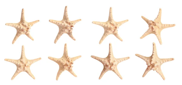 異なる角度で隔離された海の星とのコラージュ — ストック写真