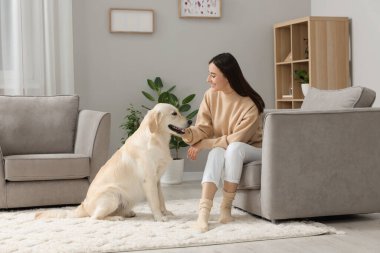 Evde şirin Labrador Retriever köpeği olan mutlu bir kadın. Sevimli hayvan.