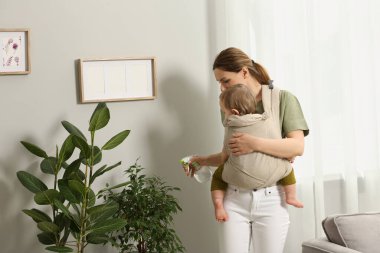 Anne, evinde çocuğunu askıya (bebek taşıyıcısı) sarılı tutarken ev bitkilerini suyla spreyliyor.