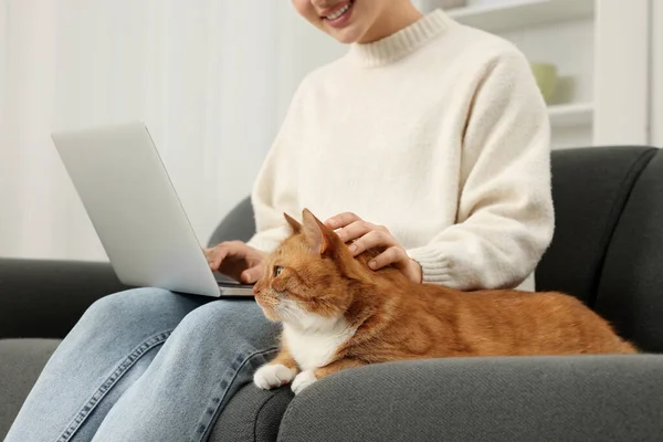 与笔记本电脑一起工作 在沙发上爱抚可爱猫的女人 特写镜头 — 图库照片